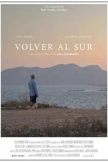 Poster do filme Volver al sur