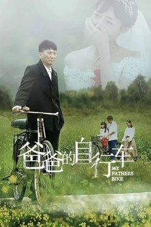 爸爸的自行车 movie poster