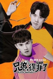 Plastic Brothers tv show poster