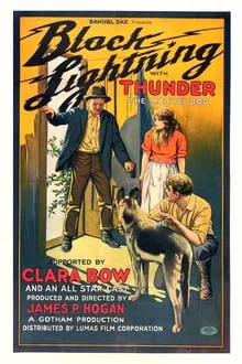 Black Lightning movie poster