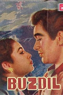 Buzdil movie poster