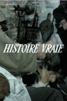Histoire vraie movie poster