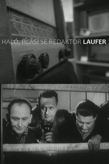Haló, hlásí se redaktor Laufer! movie poster