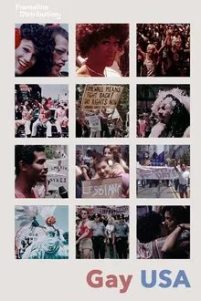 Gay USA movie poster
