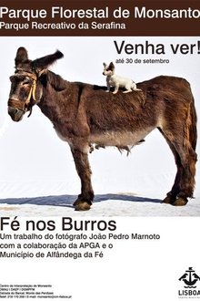 Fé nos Burros movie poster