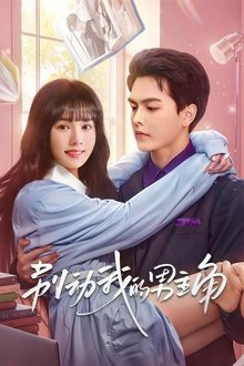 别动我的男主角 tv show poster