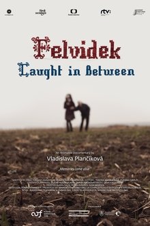 Felvidek – Caught in Between movie poster