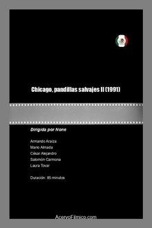 Chicago, pandillas salvajes II movie poster