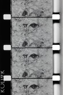 La Source de la Loire movie poster