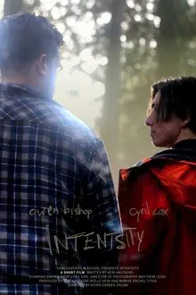 Intentsity movie poster