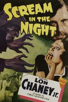A Scream in the Night movie poster