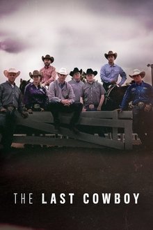 The Last Cowboy tv show poster