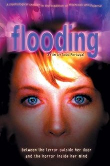 Flooding movie poster