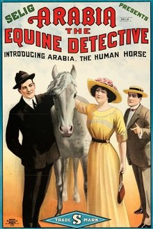 Poster do filme Arabia: The Equine Detective