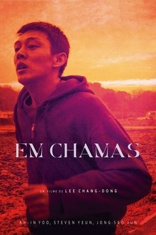 Poster do filme Em Chamas