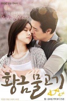 Golden Fish tv show poster
