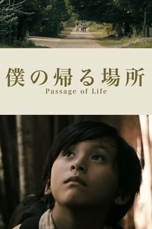Passage of Life movie poster