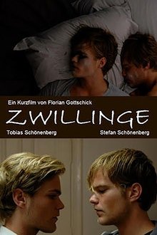 Twins movie poster