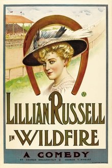 Wildfire movie poster