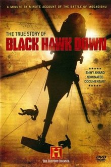 The True Story of Black Hawk Down movie poster