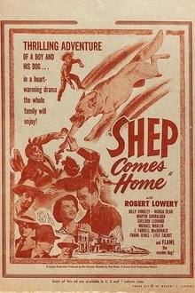 Shep Comes Home movie poster