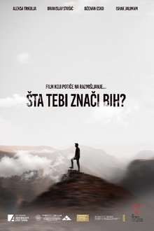 What Does Bosnia Mean to You? movie poster