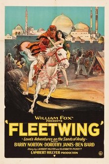 Fleetwing movie poster