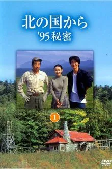 北国之恋：1995秘密 movie poster