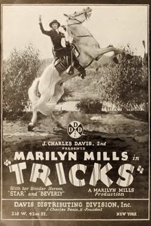 Poster do filme Tricks