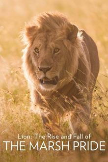 Lion: The Rise and Fall of the Marsh Pride movie poster