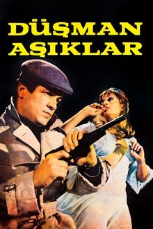 Düşman Aşıklar movie poster