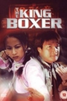 The King Boxer movie poster