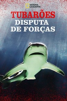 Poster do filme Tubarões: Disputa de Forças