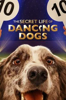Poster da série A Vida Secreta dos Cães Dançarinos