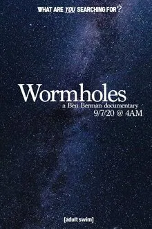 Wormholes movie poster