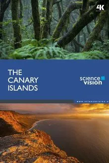 The Canary Islands movie poster