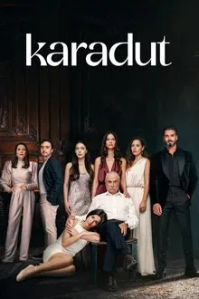 Love Berry tv show poster