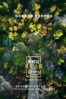 最美公路 tv show poster