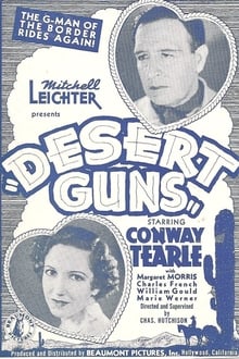 Desert Guns movie poster
