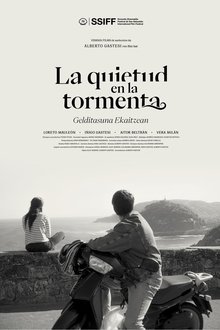 Stillness in the Storm movie poster