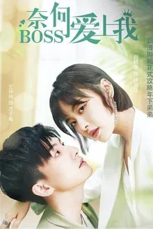 Well Staged Love tv show poster
