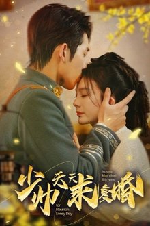 少帅天天求复婚 tv show poster