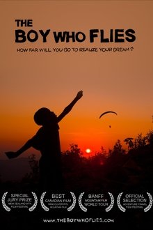 The Boy Who Flies movie poster
