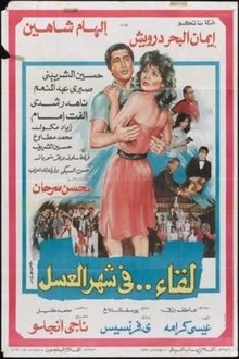 Meeting on the honeymoon movie poster