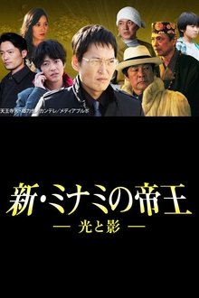 The King of Minami Returns: Light and Shadow movie poster