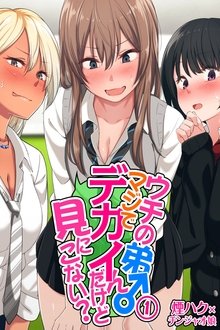 Uchi no Otouto Maji de Dekain Dakedo Mi ni Konai? tv show poster
