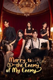 Marry to the Enemy of My Enemy tv show poster