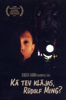 Poster do filme How Are You Doing, Rudolf Ming?