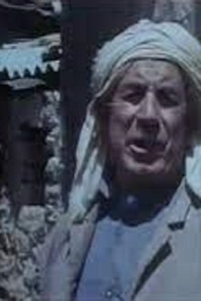 رحلة شويطر movie poster