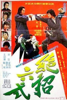 Marvelous Stunts Of Kung Fu movie poster